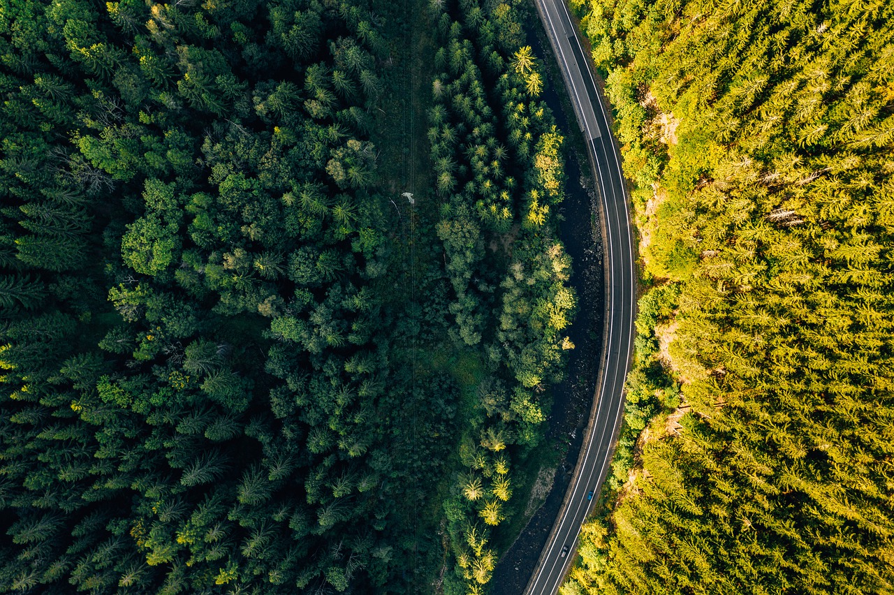 road-4564817_1280 road-4564817_1280
